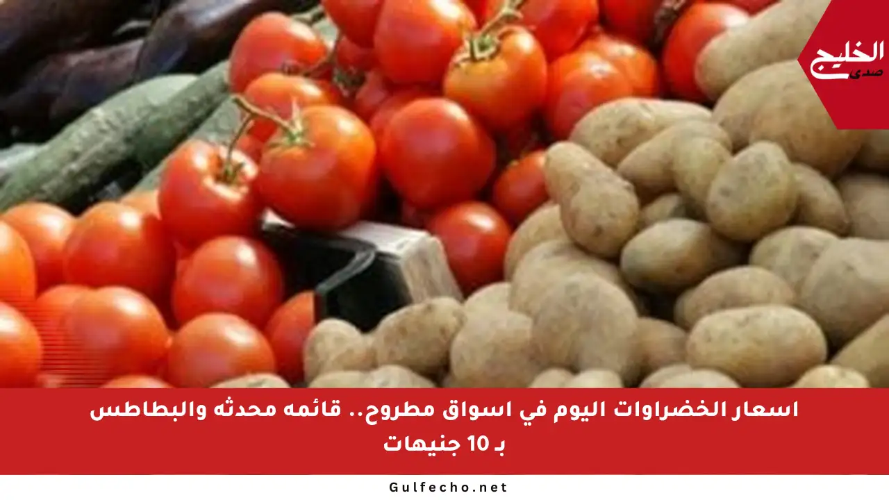 أسعار الخضراوات اليوم في أسواق مطروح.. قائمة محدثة والبطاطس بـ 10 جنيهات